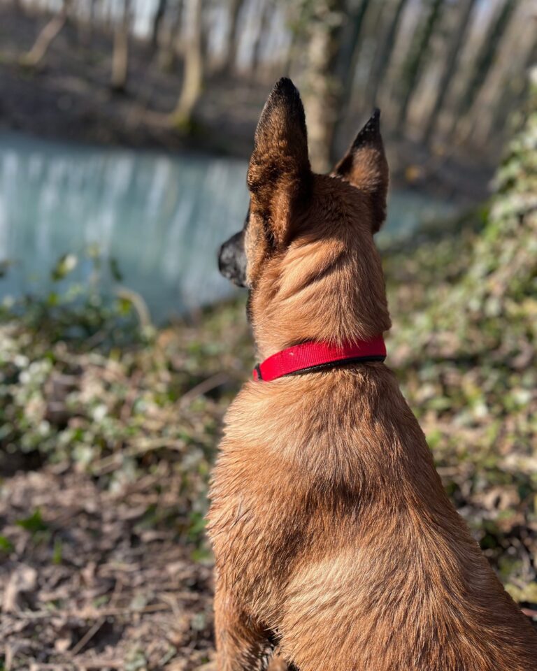 Vaïna face a l'horizon